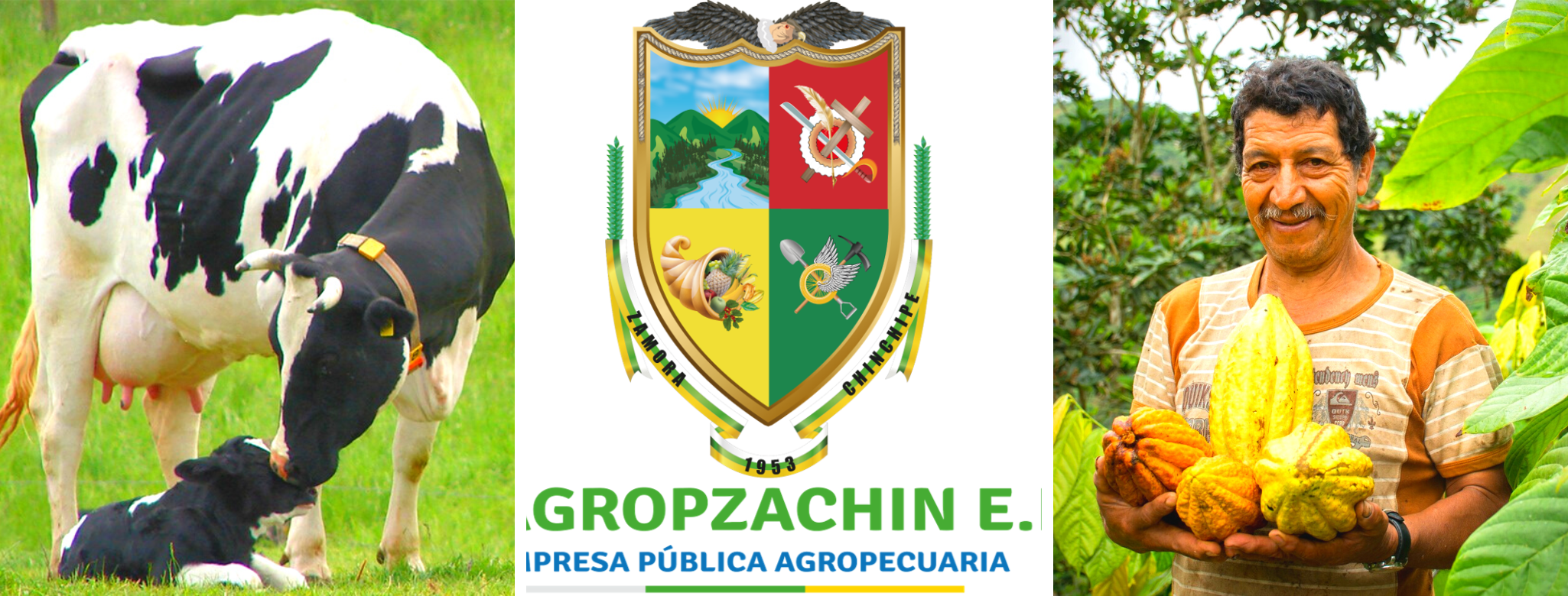 Pastel Vintage Bike Facebook Cover